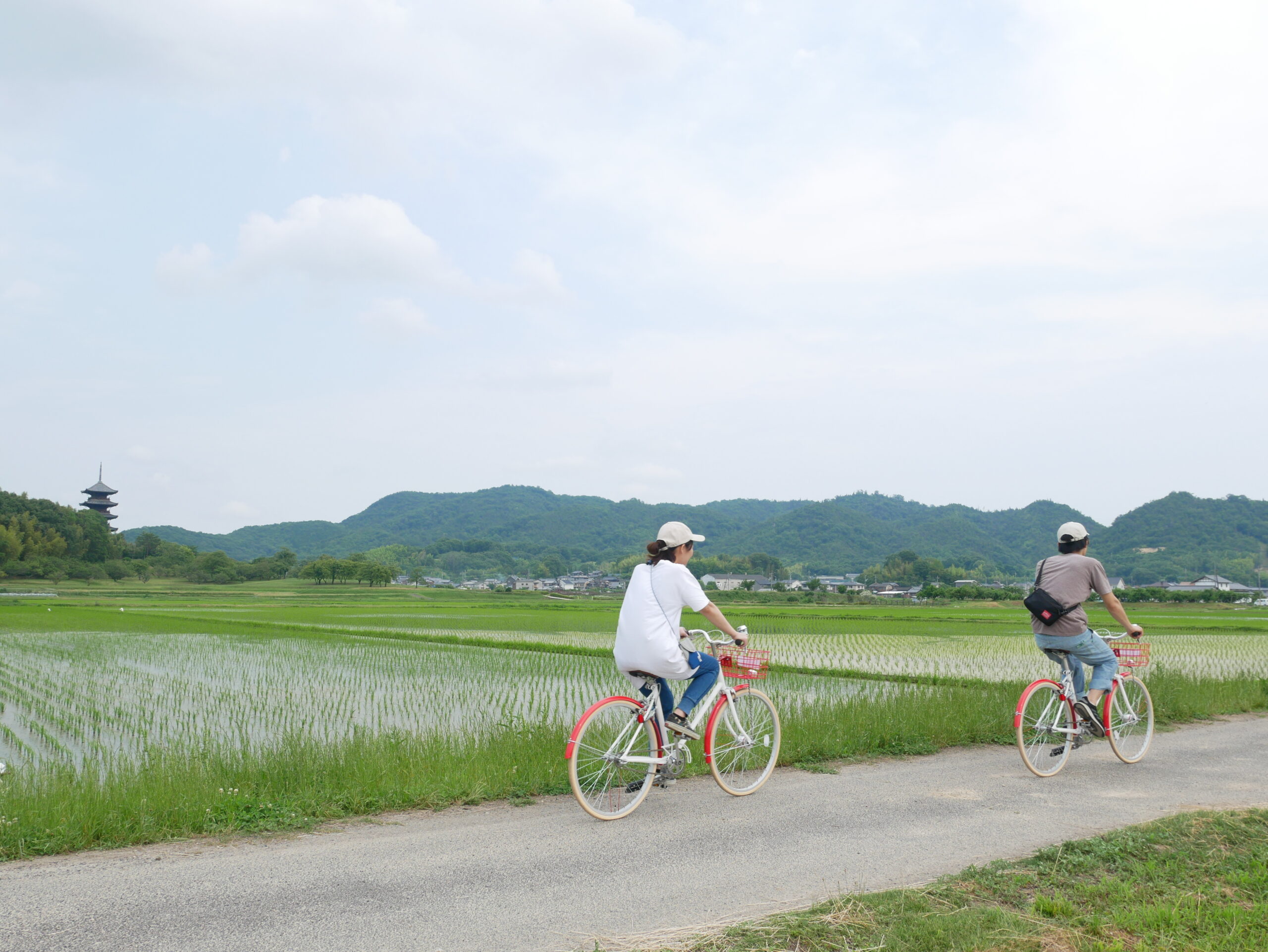 You are currently viewing 【岡山】吉備路の桃狩りサイクリングガイドツアー